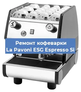 Декальцинация   кофемашины La Pavoni ESG Espresso Si в Перми